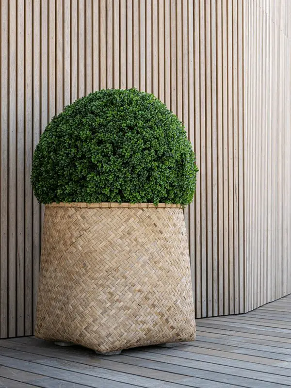 Zayn Bamboo Woven Planter in situ