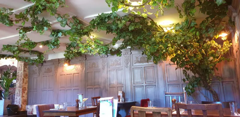 Artificial Grape vine across ceiling