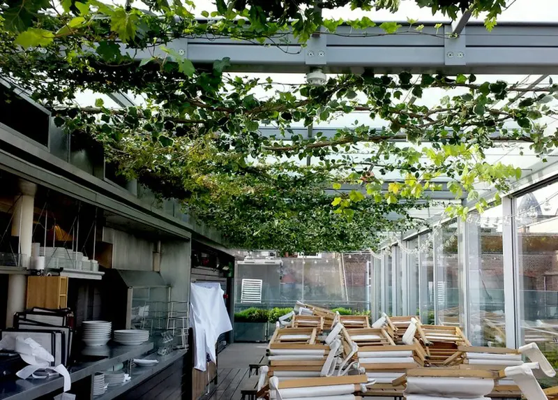 Artificial Ivy and Grape vines