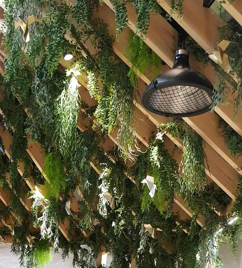 Artificial Trailing Plants Ceilings