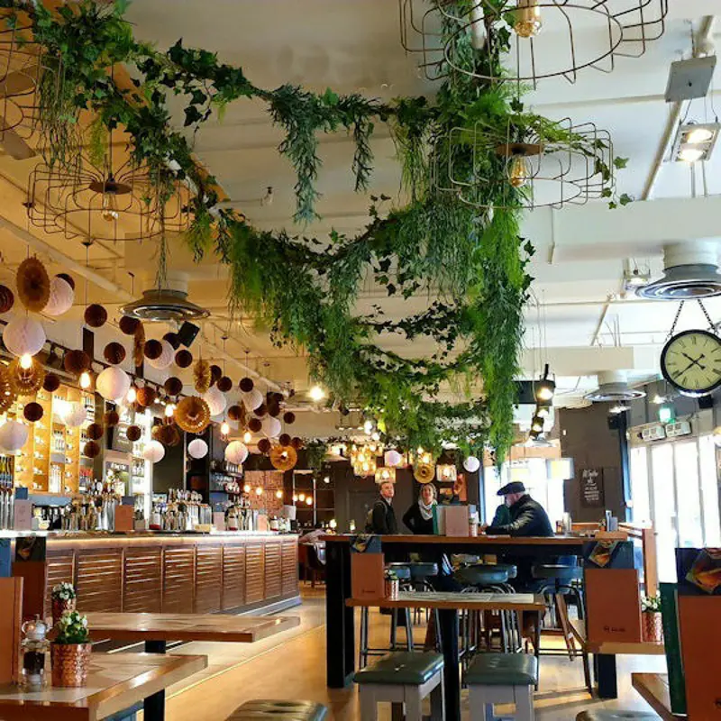 Artificial Trailing Plants and hanging Vines