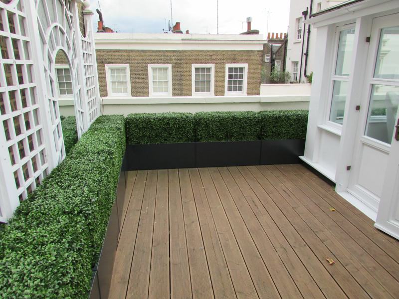 Artificial buxus hedge on roof terrace