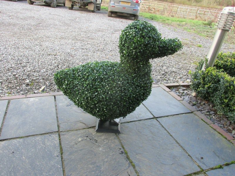 Artificial topiary duck