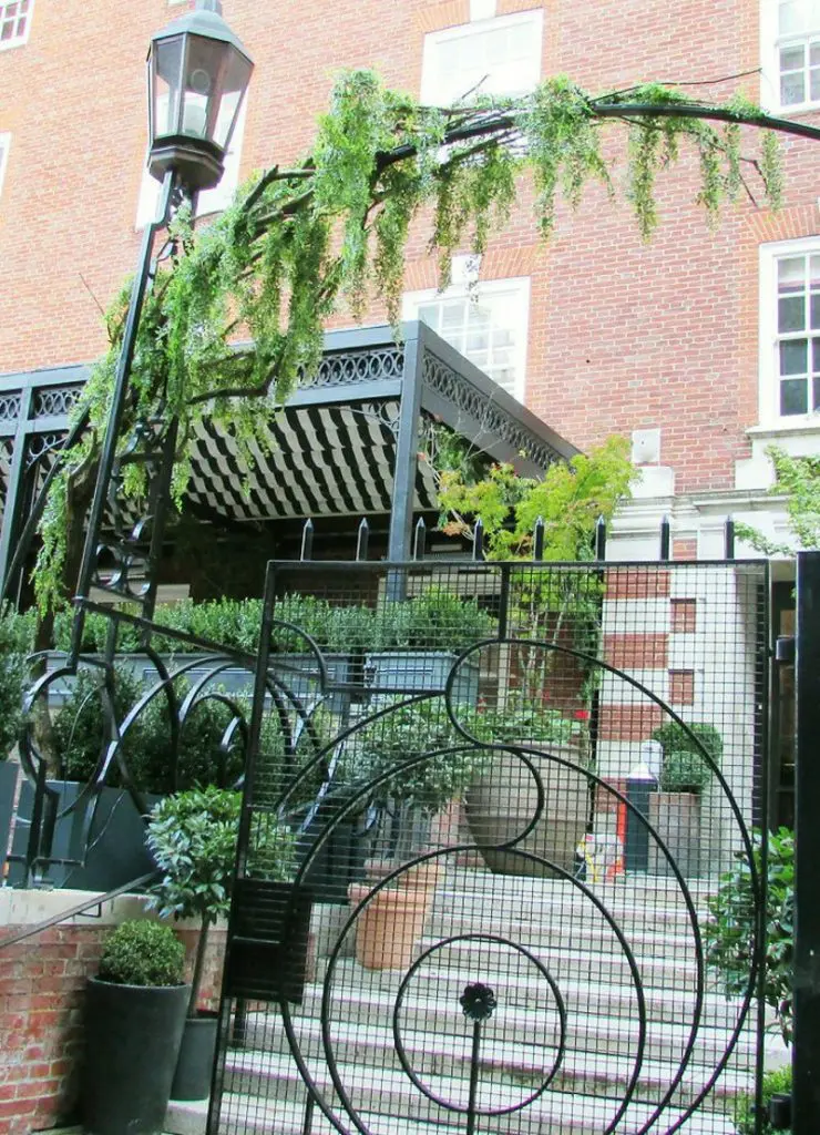 Exterior vines of platic fern over archway