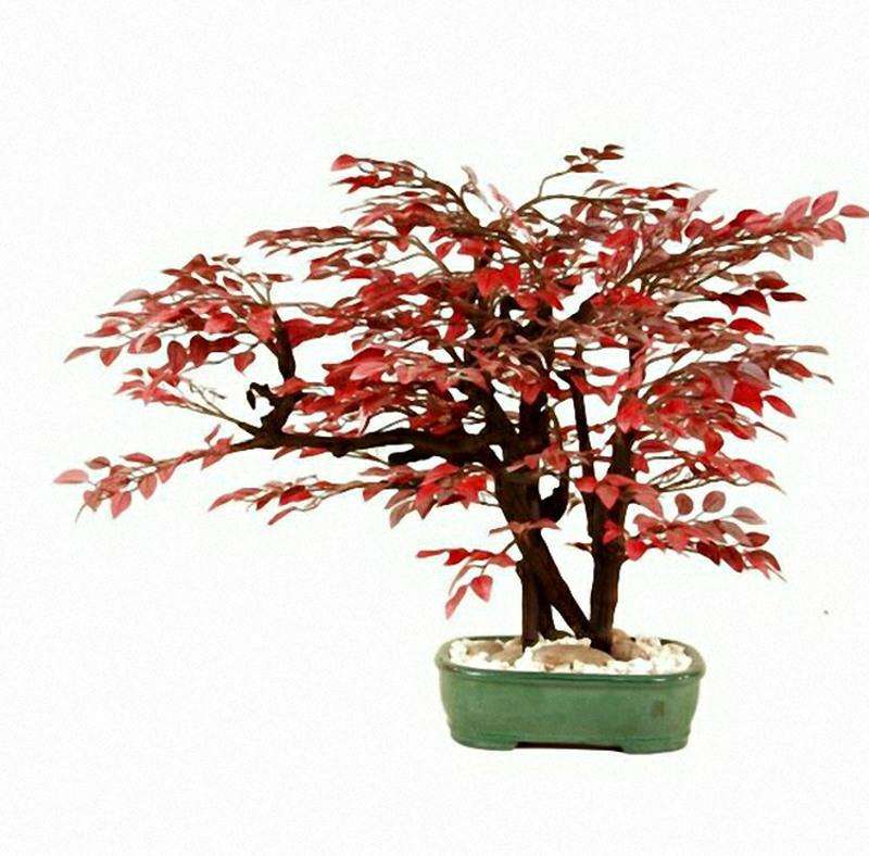 Finest quality hand made artificial mini Beech bonsai