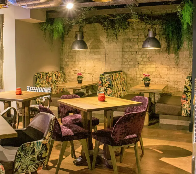 Fire Rating Interior Plants Town and Gown McMullen Pub Cambridge