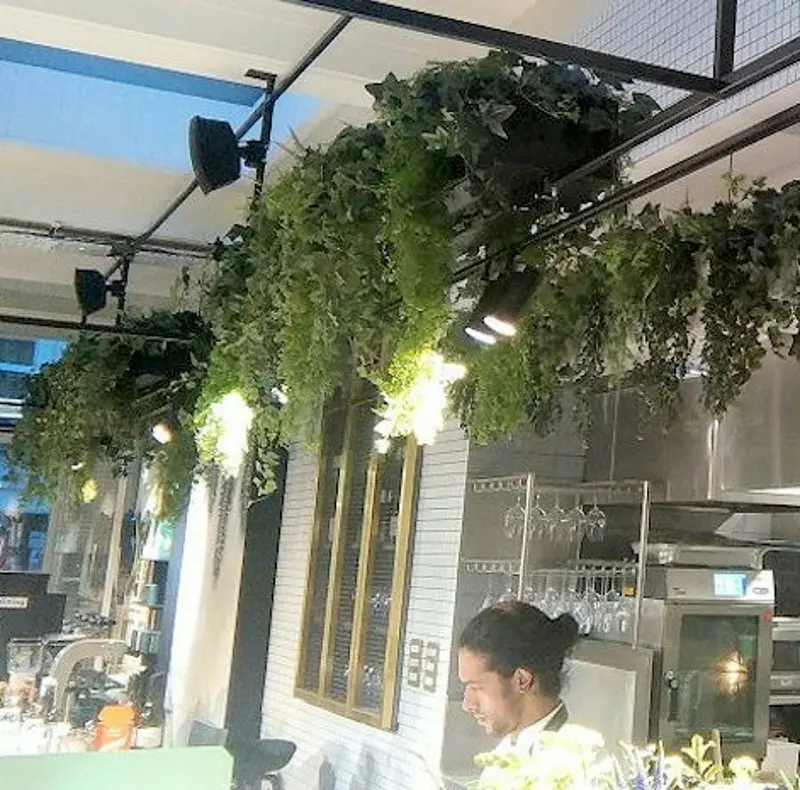 High level planting of ivies ferns and vines for Red Roaster Brighton