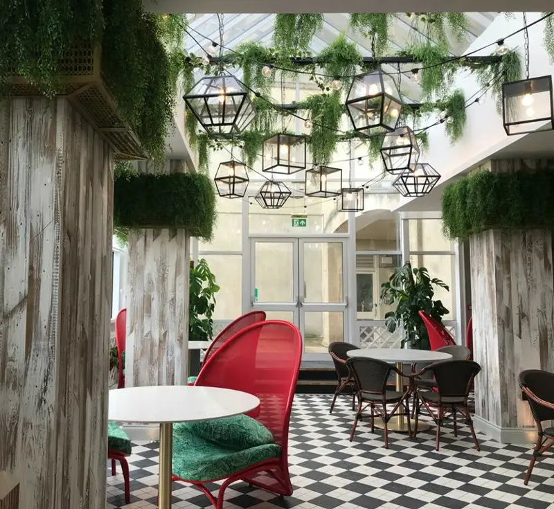Jungle vines for restaurant