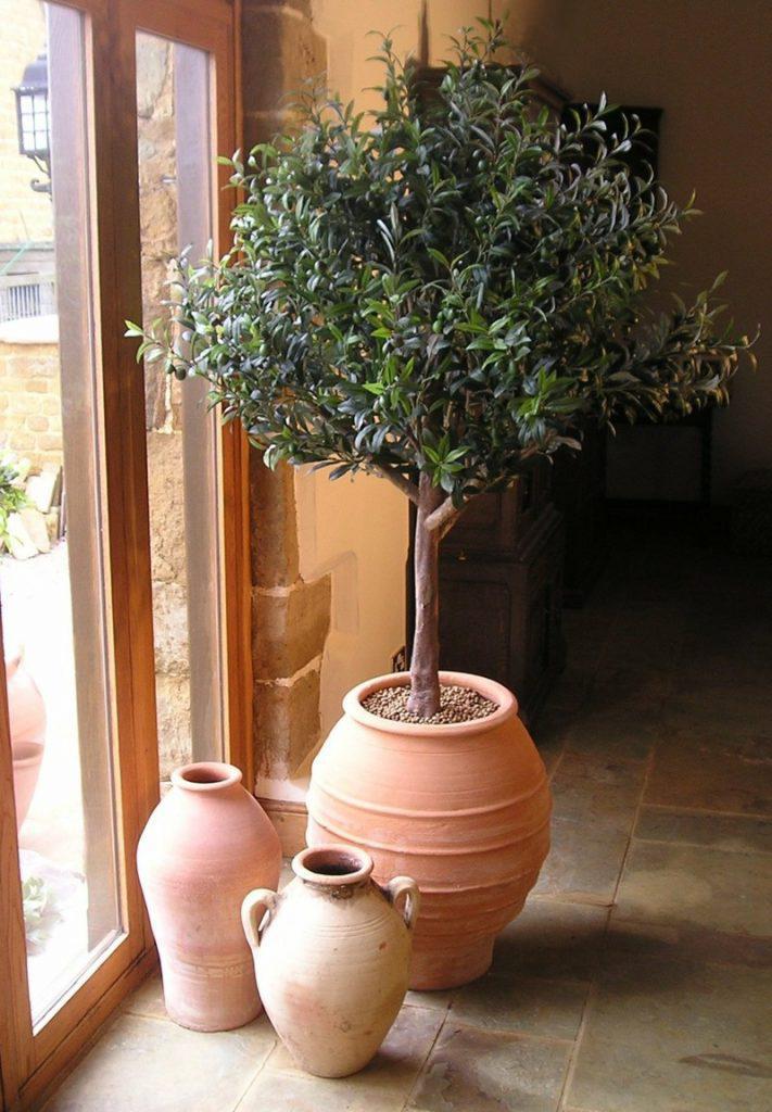 Large silk Olive tree in Giant terracotta planter