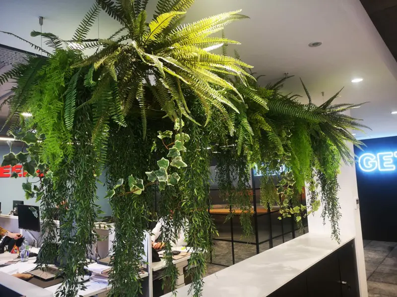 Mixed high level artificial foliage in office 1