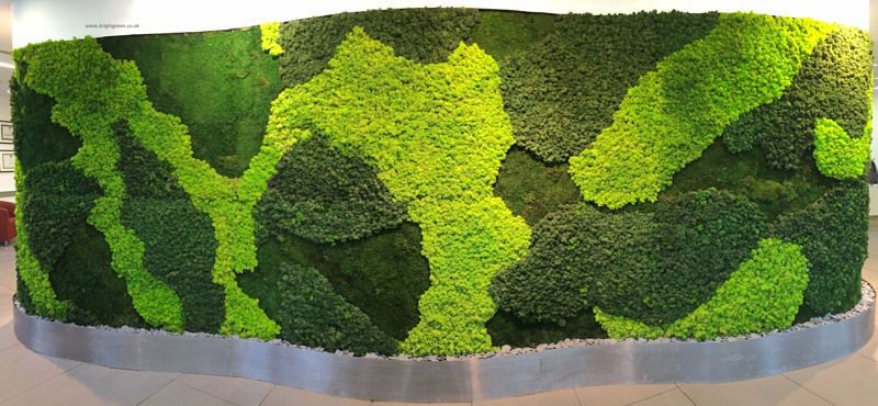 Moss Wall 3