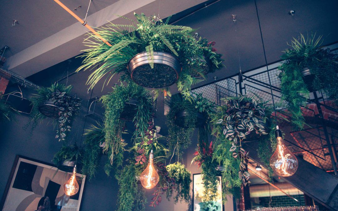 A wine bar with wow factor