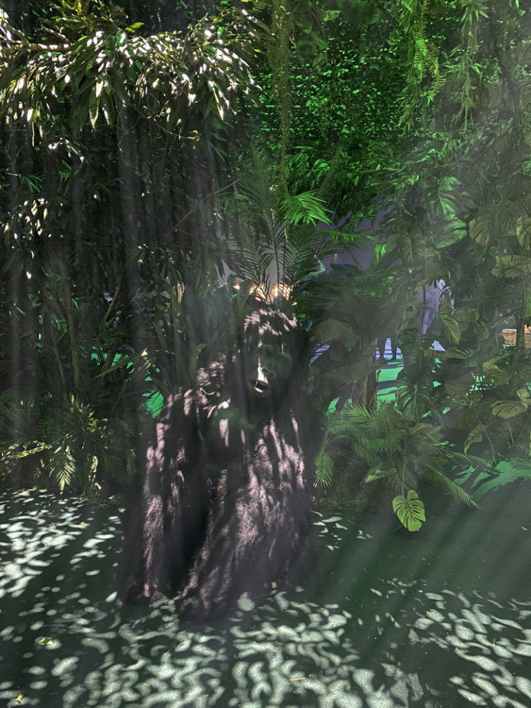 Gorilla in artificial rainforest