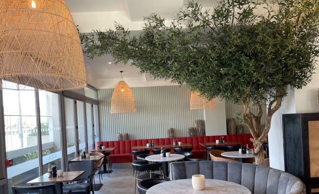 Artificial Olive Tree with Ceiling Canopy Aqua Restaurant Bristol C
