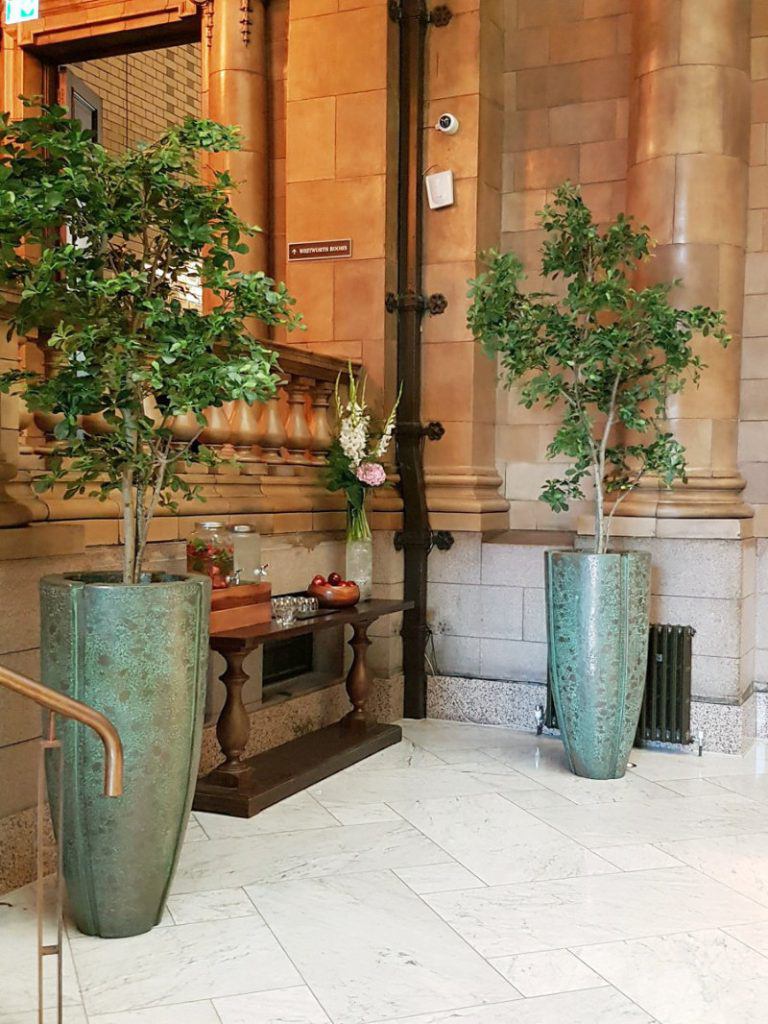 2m Artificial Black Olive Trees in Patina Planters