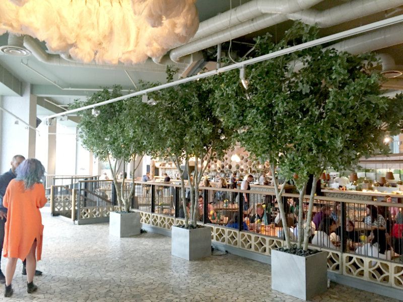 Artificial Black Olive Trees in Restaurant