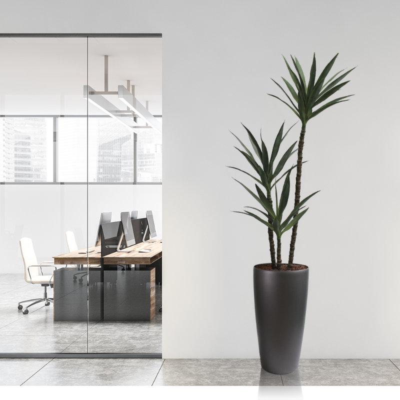 Artificial Dracaena Plant for office