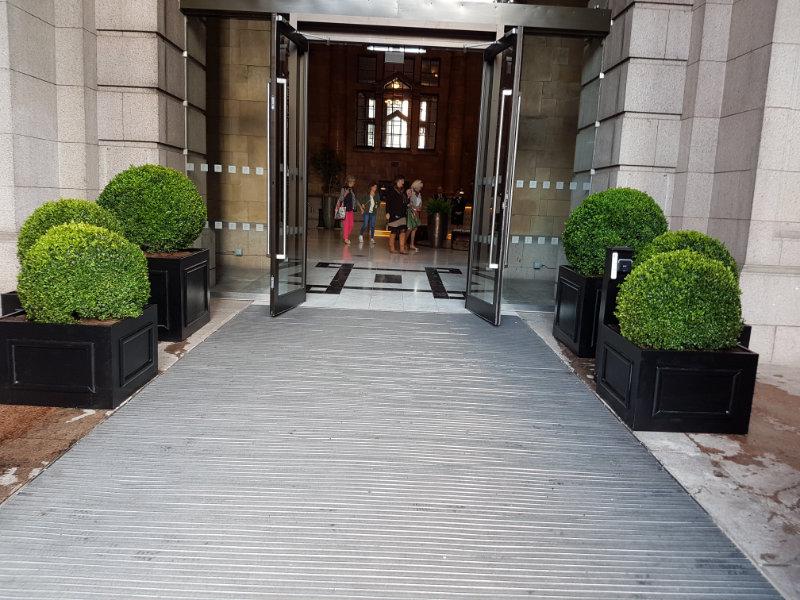 Live topiary balls in planters hotel entrance