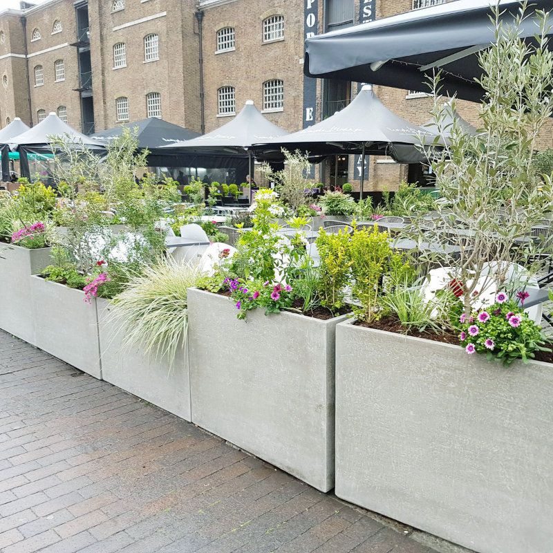 Restaurant Live Exterior Planting in Troughs