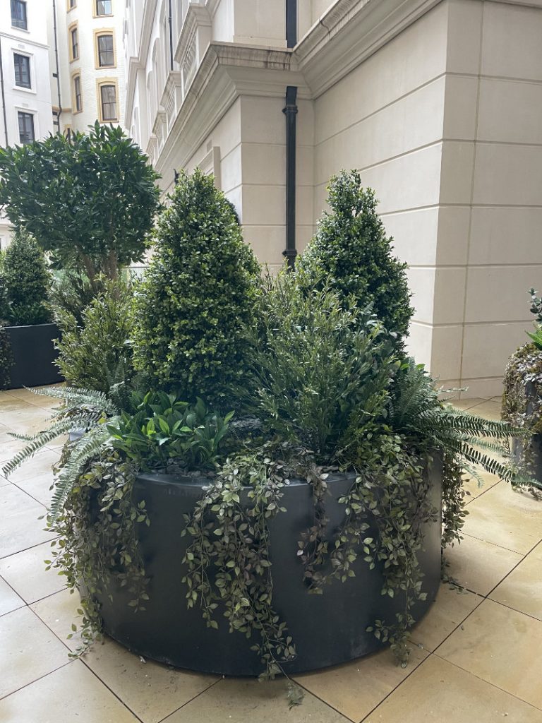 Exterior Topiary ferns and trailing circular planter OWO
