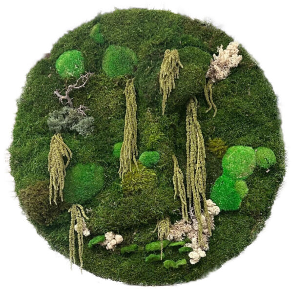 circular moss art piece 850mm diameter 1