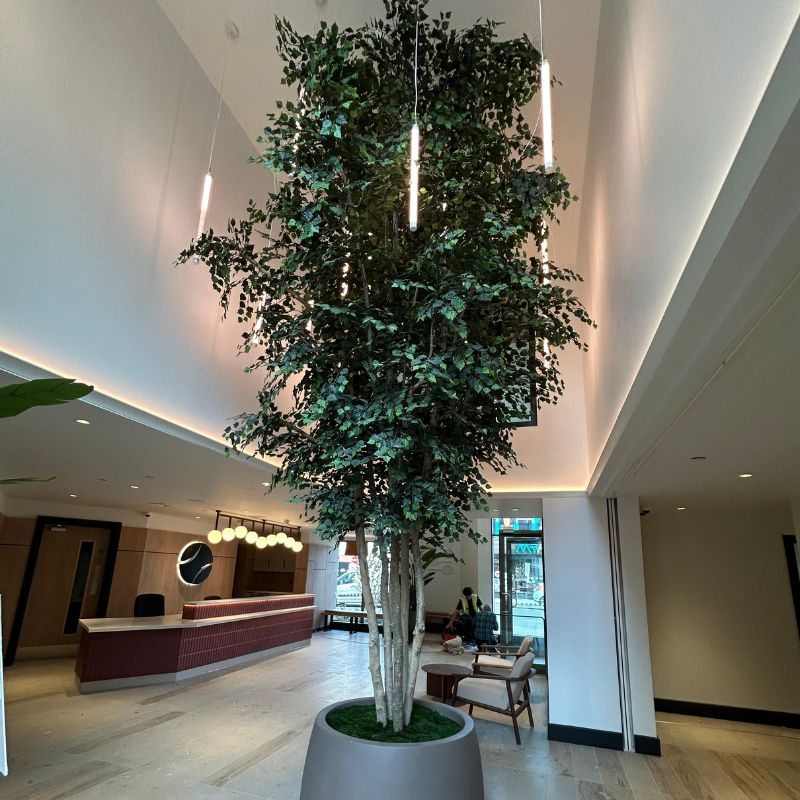 Large 5 metre Artificial Birch Tree Atrium RG Group