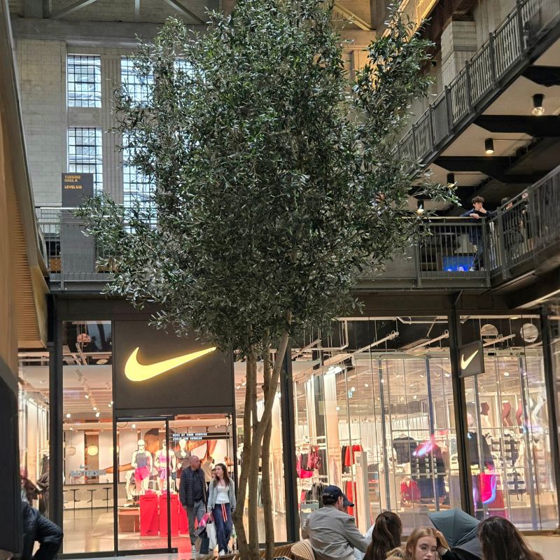 Large fake olive trees 6 metre Battersea Retail